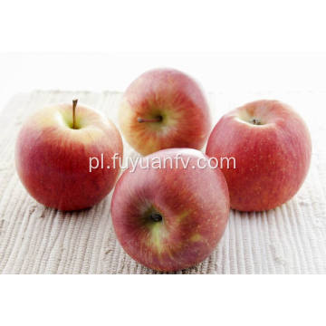 Eksportuj nową uprawę Dobra jakość Konkurencyjne jabłko Fuji